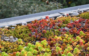 the cost of Colston Bassett green roof installation