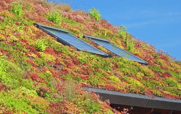 Colston Bassett living roof systems