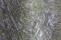 Colston Bassett fibreglass roof work